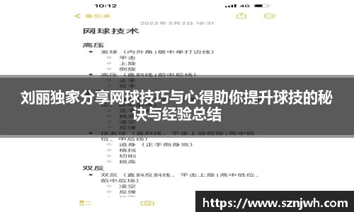 刘丽独家分享网球技巧与心得助你提升球技的秘诀与经验总结