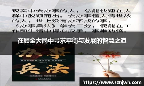 在顾全大局中寻求平衡与发展的智慧之道